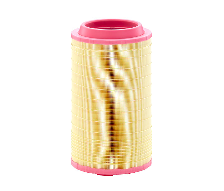 MANN-FILTER C 24 745/6 Φίλτρο αέρα