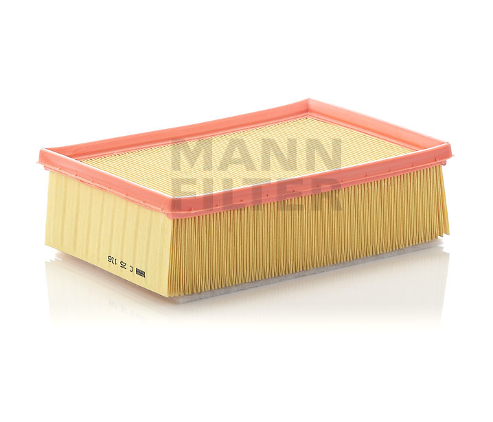 MANN-FILTER C 25 136 Air filter