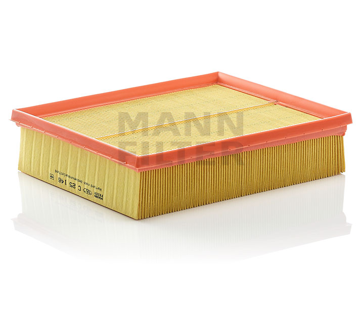 MANN-FILTER C 25 146 Filtro aria