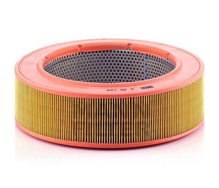 MANN-FILTER C 30 122 Filtre à air