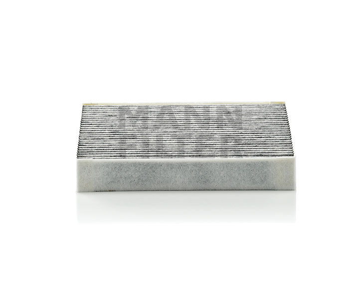 cena Salona gaisa filtrs JAGUAR CUK 2030 MANN-FILTER