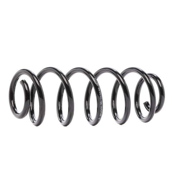 BILSTEIN 36-269198 originele Veren Passat 3b5 kosten