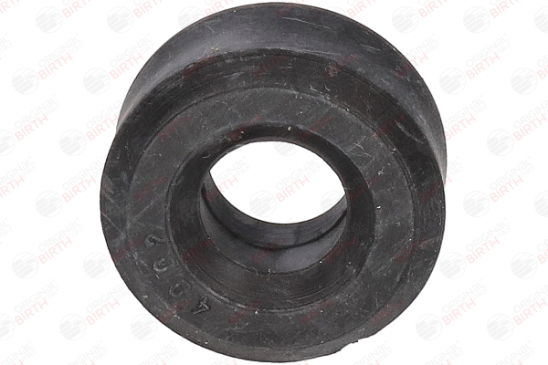 BIRTH 4002 Innocenti Mini 90 0.6 31 hp Petrol Anti-roll bar bushes price