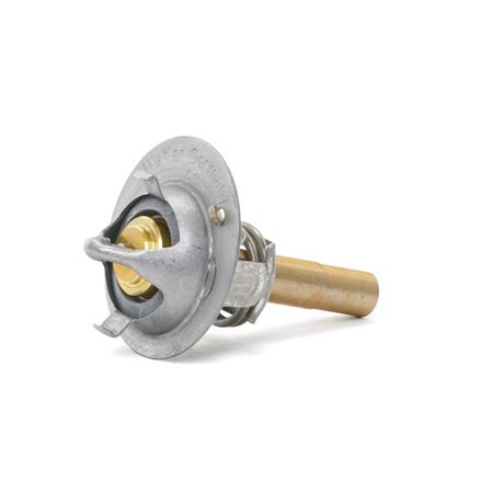 WAHLER 410779.88D Thermostat d'eau WAHLER E2858855831B9 Thermostat d'eau