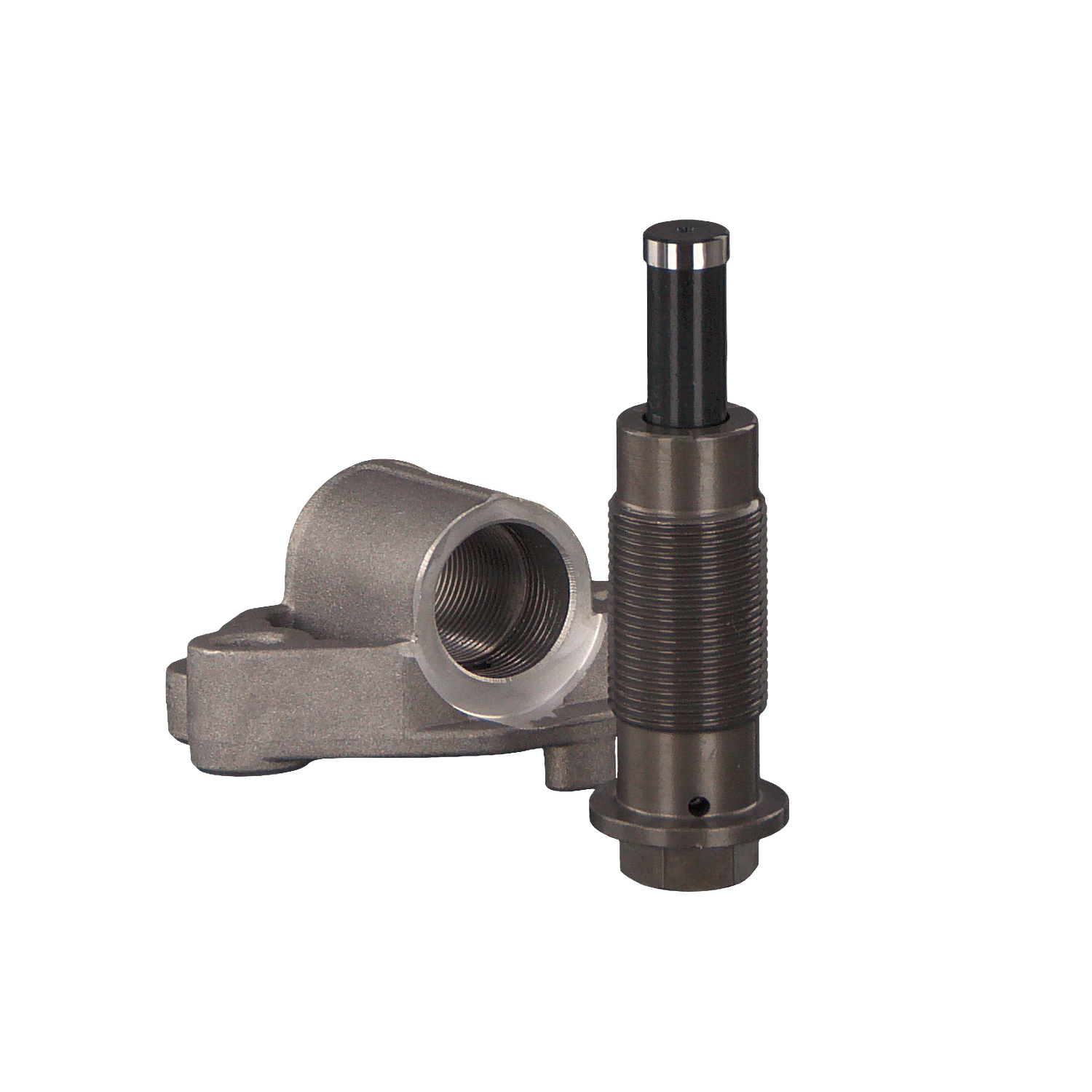 FEBI BILSTEIN 48307 Tensioner, timing chain with fastening/mounting material-image-9796983