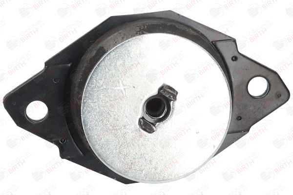 BIRTH 50509 Suporte, motor