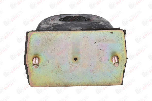 BIRTH 51542 Staubmanschette & Anschlagpuffer JEEP Grand Cherokee WH 6.1 SRT8 4x4 426 PS Benzin Kosten