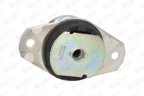 BIRTH 51595 Βάσεις στήριξης κινητήρα για BMW 3 Sedan F30, F80 330 d 258 PS 2014 N57 D30 A Πετρέλαιο BIRTH 51595 Βάσεις μηχανής BMW F30 Sedan 330 d 258 PS Πετρέλαιο τιμες