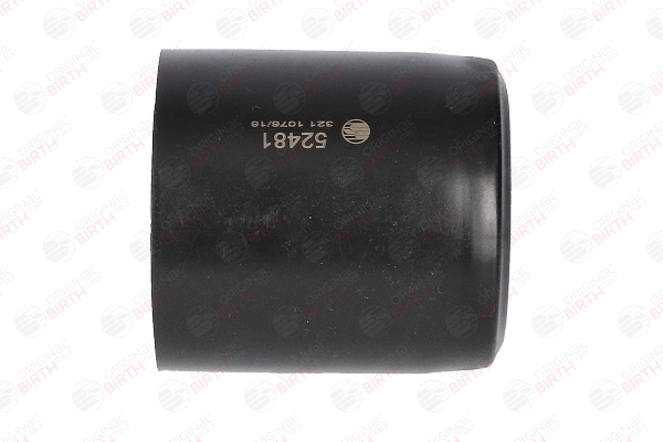 BIRTH 52481 Batente do amortecedor para BMW 7 E65, E66, E67 730 d 211 cv 2007 M57 D30 (306D2) Diesel BIRTH 52481 Batente do amortecedor BMW E65 730 d 211 cv Diesel preço