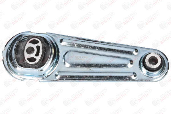 BIRTH 52689 Motorhalter Renault Kangoo 2 Express 1.5 dCi 115 (FW17) 116 PS Diesel Kosten