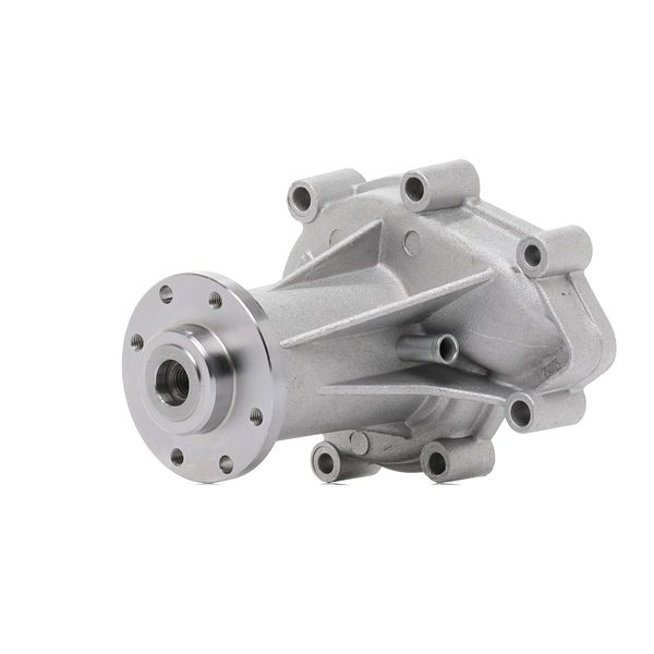 INA 538022810 Veepump Rexton I (Y200) hind