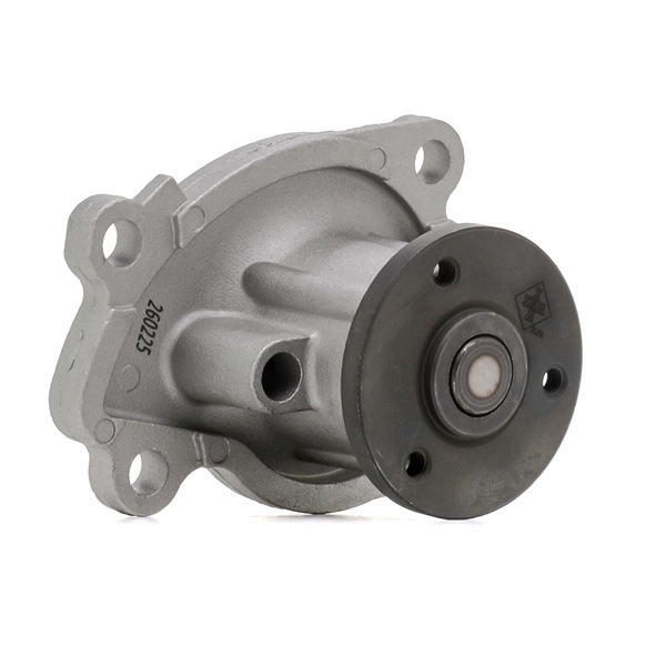 INA Vandpumpe 538 0383 10 INA 538 0383 10 Vandpumpe RENAULT CLIO hvad koster