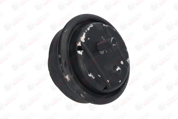 Motorfeste 5679 BIRTH 1181 1 139 883 BMW